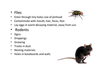 • Flies
• Enter through tiny holes size of pinhead
• Contaminate with mouth, hair, feces, feet
• Lay eggs in warm decaying material, away from sun
• Rodents
• Signs:
• Droppings
• Gnawing
• Tracks in dust
• Nesting materials
• Holes in baseboards and walls
 