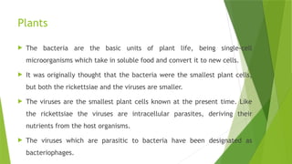 Plants
 The bacteria are the basic units of plant life, being single-cell
microorganisms which take in soluble food and convert it to new cells.
 It was originally thought that the bacteria were the smallest plant cells,
but both the rickettsiae and the viruses are smaller.
 The viruses are the smallest plant cells known at the present time. Like
the rickettsiae the viruses are intracellular parasites, deriving their
nutrients from the host organisms.
 The viruses which are parasitic to bacteria have been designated as
bacteriophages.
 