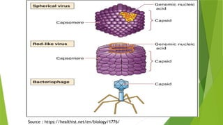 Source : https://healthist.net/en/biology/1776/
 