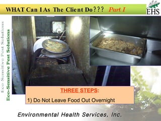 Pest Management In Commercial Food Establishments Ppt