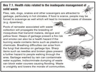 Comprehensive Guide to Sanitation, Hygiene, and Safe Water in ...