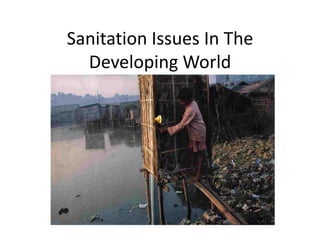 Sanitation Issues In The Developing World 