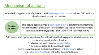Mechanism of action :
When NaF is applied topically, it reacts with hydroxyapatite crystals to form CaF2 which is
the dominant product of reaction
This occurs because once a thick layer of CaF2 gets formed it interferes
with the further diffusion of fluoride from the topical fluoride solution
to react with hydroxyapatite ( that’s why it left to dry for 4 min)
CaF2 reacts with hydroxyapatite to form fluoridated hydroxyapatite which increases the
concentrations of surface fluoride
• Making the tooth structure more stable
• Less susceptible to dissolution by acids
• Interferes with plaque metabolism through anti enzymatic action
• Helps in reminerlization of the initial decalcified areas
Chocking
off effect
 