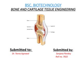 BSC. BIOTECHNOLOGY
BONE AND CARTILAGE TISSUE ENGINEERING
Submitted to: Submitted by:
Dr. Teena Agrawal Sanjana Pandey
Roll no. 7022
 