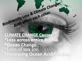 *Ocean Change.