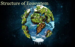 structure of ecosystem | PPTX | Geography | Science