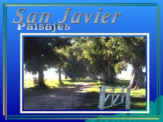 Paisajes San Javier 
