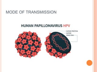 MODE OF TRANSMISSION
 