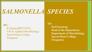 SALMONELLA SPECIES
BY;
K.Sanjay,(BP211525),
I M.Sc.Applied Microbiology,
Sacred Heart College,
Tirupattur.
TO:
Dr.P.Saranraj,
Head of the Department,
Department of Microbiology,
Sacred Heart College,
Tirupattur.
 