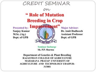 CREDIT SEMINAR
on
Presented by-
Sanjay Kumar
M.Sc. (Ag.)
Dept. of GPB
Major Advisor-
Dr. Amit Dadheech
Assistant Professor
Dept. of GPB
Department of Genetics & Plant Breeding
RAJASTHAN COLLEGE OF AGRICULTURE
MAHARANA PRATAP UNIVERSITY OF
AGRICULTURE AND TECHNOLOGY UDAIPUR-
313001
“ Role of Mutation
Breeding in Crop
Improvement”
Seminar Incharge
Sh. P.P. Sharma
 