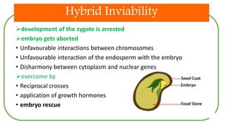 Hybrid Inviability
development of the zygote is arrested
embryo gets aborted
• Unfavourable interactions between chromosomes
• Unfavourable interaction of the endosperm with the embryo
• Disharmony between cytoplasm and nuclear genes
overcome by
• Reciprocal crosses
• application of growth hormones
• embryo rescue
 