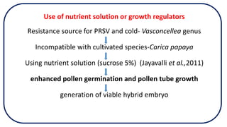 Use of nutrient solution or growth regulators
Resistance source for PRSV and cold- Vasconcellea genus
Incompatible with cultivated species-Carica papaya
Using nutrient solution (sucrose 5%) (Jayavalli et al.,2011)
enhanced pollen germination and pollen tube growth
generation of viable hybrid embryo
 