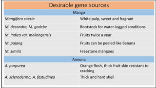 Desirable gene sources
Mango
Mangifera caesia White pulp, sweet and fragrant
M. decandra, M. gedebe Rootstock for water-logged conditions
M. Indica var. mekongensis Fruits twice a year
M. pajang Fruits can be peeled like Banana
M. similis Freestone mangoes
Annona
A. purpurea Orange flesh, thick fruit skin resistant to
cracking
A. scleroderma, A. festudinea Thick and hard shell
 