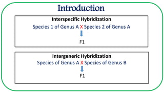 Introduction
Interspecific Hybridization
Species 1 of Genus A X Species 2 of Genus A
F1
Intergeneric Hybridization
Species of Genus A X Species of Genus B
F1
 