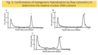 Fig. 3. Confirmation of intergeneric hybridization by flow cytometry to
determine the relative nuclear DNA content.
 