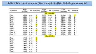 Table 1. Reaction of resistance (R) or susceptibility (S) to Meloidogyne enterolobii
•
 