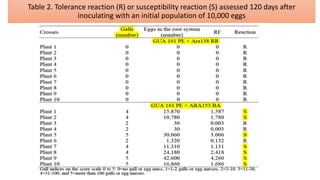 Table 2. Tolerance reaction (R) or susceptibility reaction (S) assessed 120 days after
inoculating with an initial population of 10,000 eggs
 