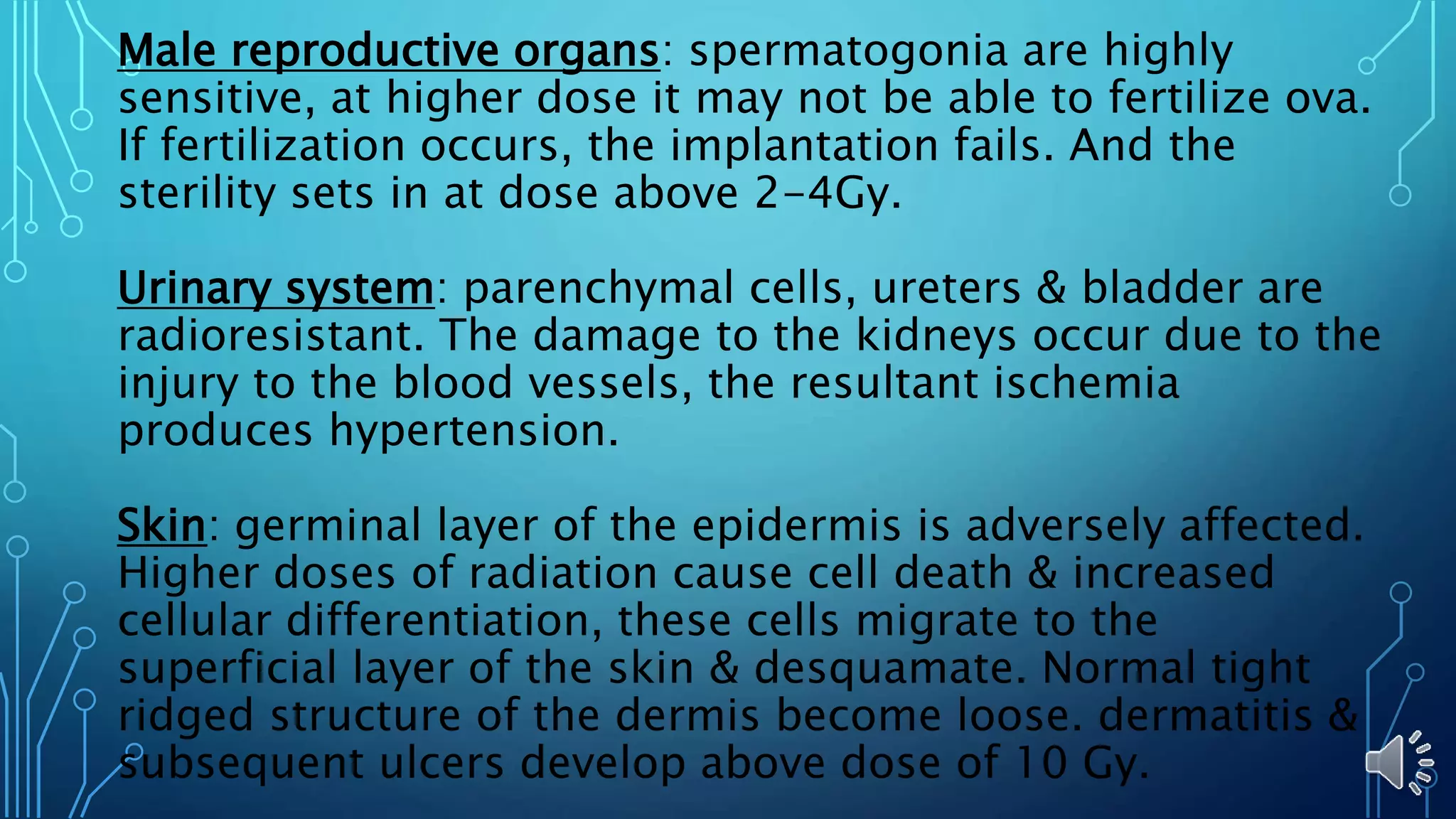 Male reproductive organs: spermatogonia are highly
sensitive, at higher dose it may not be able to fertilize ova.
If fertilization occurs, the implantation fails. And the
sterility sets in at dose above 2-4Gy.
Urinary system: parenchymal cells, ureters & bladder are
radioresistant. The damage to the kidneys occur due to the
injury to the blood vessels, the resultant ischemia
produces hypertension.
Skin: germinal layer of the epidermis is adversely affected.
Higher doses of radiation cause cell death & increased
cellular differentiation, these cells migrate to the
superficial layer of the skin & desquamate. Normal tight
ridged structure of the dermis become loose. dermatitis &
subsequent ulcers develop above dose of 10 Gy.
 