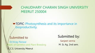 CHAUDHARY CHARAN SINGH UNIVERSITY
MEERUT 250004
TOPIC-Photosynthesis and its importance in
bioproductivity.
Submitted to
Dr.Vinay Panwar
Deptt. of Genetics and Plant Breeding
C.C.S. University Meerut
Submitted by:
Sanjeet verma
M. Sc Ag. 2nd sem.
 