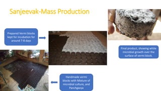 Sanjeevak concept Report.pdf