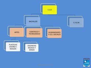 E.S.O 
ORIENTACION ESO 2014 
BACHILLER 
HUMANIDADES 
Y CCS. SOCIALES 
CIENTIFICO Y 
TECNOLÓGICO 
ARTES 
PLASTICAS 
DISEÑO E 
IMAGEN 
ESCENICAS 
MUSICA Y 
DANZA 
C.F.G.M. 
 