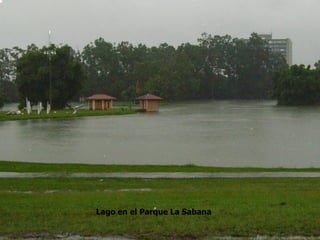 Lago en el Parque La Sabana
 