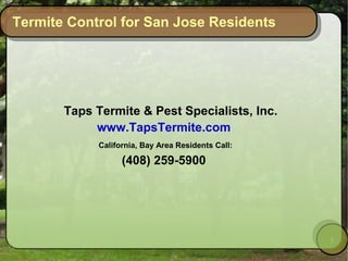 Termite Control for San Jose Residents




       Taps Termite  Pest Specialists, Inc.
            www.TapsTermite.com
             California, Bay Area Residents Call:

                   (408) 259-5900




                                                    1
 