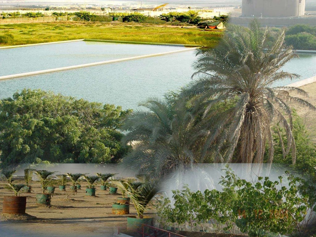 Oil Refineries in Karachi Sanjrani