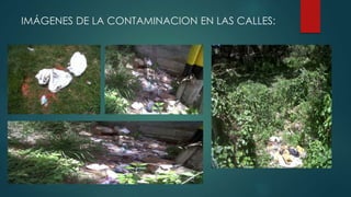 IMÁGENES DE LA CONTAMINACION EN LAS CALLES:
 