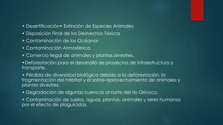 • Desertificación• Extinción de Especies Animales
• Disposición Final de los Deshechos Tóxicos
• Contaminación de los Océanos
• Contaminación Atmosférica.
• Comercio ilegal de animales y plantas silvestres.
•Deforestación para el desarrollo de proyectos de infraestructura y
transporte.
• Pérdida de diversidad biológica debido a la deforestación, la
fragmentación del hábitat y el sobre-aprovechamiento de animales y
plantes silvestres.
• Degradación de algunas cuencas al norte del río Orinoco.
• Contaminación de suelos, aguas, plantas, animales y seres humanos
por el efecto de plaguicidas.
 