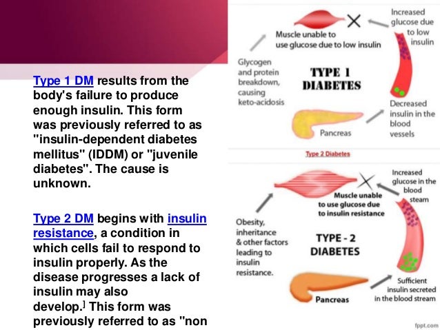 what is the pathophysiology of diabetes mellitus type 1