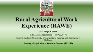 Rural Agricultural Work
Experience (RAWE)
Mr. Sanju Kumar
B.Sc. Hons. Agriculture (106/Ag/2017)
Sher-E-Kashmir University of Agricultural Science and Technology,
Shalimar.
Faculty of Agriculture, Wadura, Sopore. (193201)
 