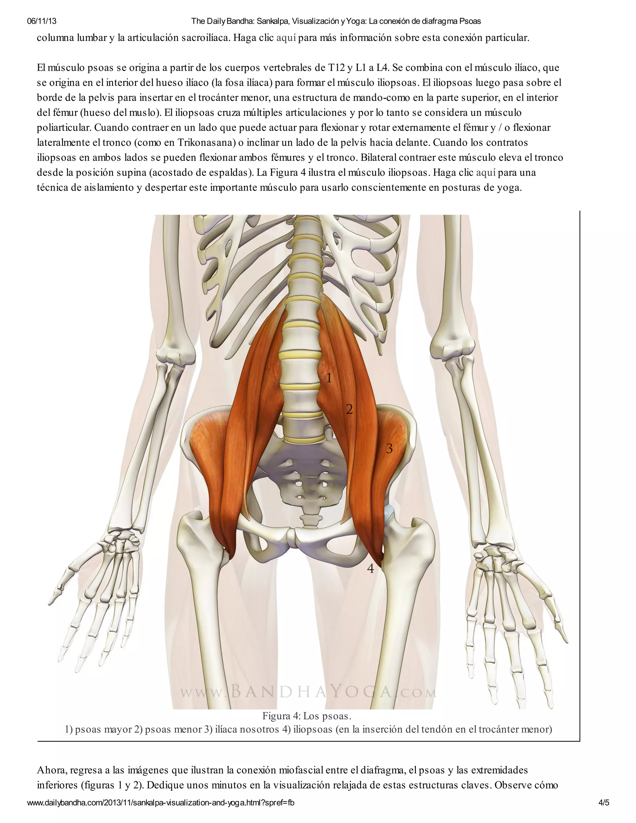 Sankalpa, visualización y yoga la conexión de diafragma psoas | PDF