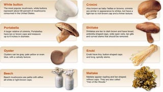 Mushroom And Its Value Added Products PPTX mushroom-and-its-value-added-products-pptx