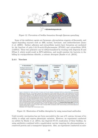 Influence of Biofilm on Medical Devices | PDF