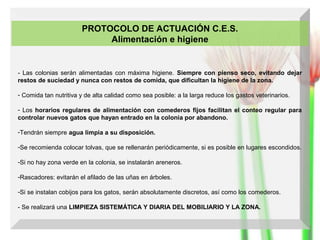 PROTOCOLO DE ACTUACIÓN C.E.S.
Alimentación e higiene

- Las colonias serán alimentadas con máxima higiene. Siempre con pienso seco, evitando dejar
restos de suciedad y nunca con restos de comida, que dificultan la higiene de la zona.
- Comida tan nutritiva y de alta calidad como sea posible: a la larga reduce los gastos veterinarios.
- Los horarios regulares de alimentación con comederos fijos facilitan el conteo regular para
controlar nuevos gatos que hayan entrado en la colonia por abandono.
-Tendrán siempre agua limpia a su disposición.
-Se recomienda colocar tolvas, que se rellenarán periódicamente, si es posible en lugares escondidos.
-Si no hay zona verde en la colonia, se instalarán areneros.
-Rascadores: evitarán el afilado de las uñas en árboles.
-Si se instalan cobijos para los gatos, serán absolutamente discretos, así como los comederos.
- Se realizará una LIMPIEZA SISTEMÁTICA Y DIARIA DEL MOBILIARIO Y LA ZONA.

 