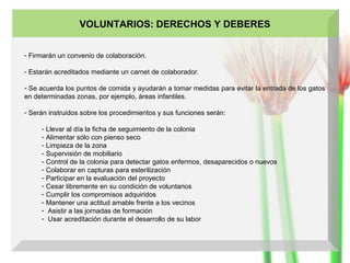 VOLUNTARIOS: DERECHOS Y DEBERES
- Firmarán un convenio de colaboración.
- Estarán acreditados mediante un carnet de colaborador.
- Se acuerda los puntos de comida y ayudarán a tomar medidas para evitar la entrada de los gatos
en determinadas zonas, por ejemplo, áreas infantiles.
- Serán instruidos sobre los procedimientos y sus funciones serán:
- Llevar al día la ficha de seguimiento de la colonia
- Alimentar sólo con pienso seco
- Limpieza de la zona
- Supervisión de mobiliario
- Control de la colonia para detectar gatos enfermos, desaparecidos o nuevos
- Colaborar en capturas para esterilización
- Participar en la evaluación del proyecto
- Cesar libremente en su condición de voluntarios
- Cumplir los compromisos adquiridos
- Mantener una actitud amable frente a los vecinos
- Asistir a las jornadas de formación
- Usar acreditación durante el desarrollo de su labor

 