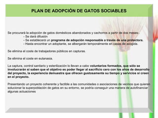 PLAN DE ADOPCIÓN DE GATOS SOCIABLES

Se procurará la adopción de gatos domésticos abandonados y cachorros a partir de dos meses:.
- Se dará difusión
- Se establecerá un programa de adopción responsable a través de una protectora.
- Hasta encontrar un adoptante, se albergarán temporalmente en casas de acogida.
Se elimina el coste de trabajadores públicos en capturas.
Se elimina el coste en eutanasia.
La captura, control sanitario y esterilización lo llevan a cabo voluntarios formados, que sólo se
involucrarán si saben que el objetivo es poder llegar al sacrificio cero con los años de desarrollo
del proyecto, la experiencia demuestra que ofrecen gustosamente su tiempo y servicios si creen
en el proyecto.
Presentando un proyecto coherente y factible a las comunidades o asociaciones de vecinos que quieren
solucionar la superpoblación de gatos en su entorno, se podría conseguir una manera de autofinanciar
algunas actuaciones

 