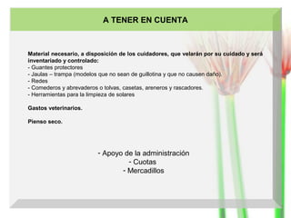 A TENER EN CUENTA

Material necesario, a disposición de los cuidadores, que velarán por su cuidado y será
inventariado y controlado:
- Guantes protectores
- Jaulas – trampa (modelos que no sean de guillotina y que no causen daño).
- Redes
- Comederos y abrevaderos o tolvas, casetas, areneros y rascadores.
- Herramientas para la limpieza de solares
Gastos veterinarios.
Pienso seco.

- Apoyo de la administración
- Cuotas
- Mercadillos

 