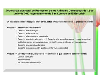 Ordenanza Municipal de Protección de los Animales Domésticos de 12 de
julio de 2012 -Ayuntamiento de San Lorenzo de El EscorialEn esta ordenanza se recogen, entre otros, estos artículos en relación a la protección animal:
Artículo 4: Derechos de los animales:
- Derecho a la vida digna
- Derecho a alimentación
- Derecho a la asistencia veterinaria
- Derecho a un trato adecuado (…). Derecho a la no realización de comportamientos y
actitudes ajenas e impropias de su condición o que impliquen un trato vejatorio.
- Derecho a no ser abandonados
- Derecho a una educación que le permita vivir en sociedad
Articulo 37: Queda prohibido, respecto a los animales a que se refiere esta ordenanza:
- Causar su muerte
- Abandonarlos
- No facilitarles alimentación

 