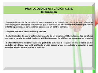 PROTOCOLO DE ACTUACIÓN C.E.S.
Información

- Censo de la colonia. Se recomienda siempre no entrar en discusiones con los vecinos, informarles
sobre el proyecto, explicarles con precisión que la actuación es en su beneficio puesto que se va a
evitar la reproducción, se vacunará y establecerá un control sanitario.
- Limpieza y retirada de escombros y basuras
- Cartel indicador de que la colonia forma parte de un programa CES, indicando los beneficios
que reporta para la sociedad, haciendo visible un número de teléfono para sugerencias o quejas.
- Cartel informativo indicando que está prohibido alimentar a los gatos de esa colonia sin ser
cuidador acreditado, que está prohibido arrojar basura y que es obligatorio respetar a esos
animales, siendo penado por ley el maltrato.

 