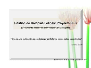 Gestión de Colonias Felinas: Proyecto CES
(Documento basado en el Proyecto CES Zaragoza)

“Un país, una civilización, se puede juzgar por la forma en que trata a sus animales”
Mahatma Gandhi

San Lorenzo de El Escorial - 25 de Enero 2014

 