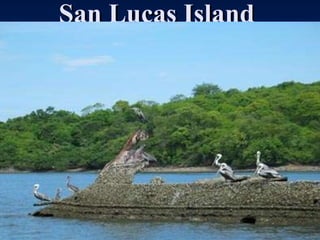 San Lucas Island  