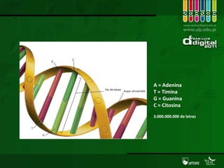 La revolución genómica/genéticaCraig Venter  y Francis Collins