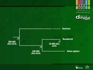 Terapia genética contra el cáncerLeucemia linfocítica crónica avanzadaLos pacientes fueron tratados con versiones genéticamente modificadas de sus propias células T (linfocitos).Centro del Cáncer Abramson de la Universidad de Pennsylvania y de la Escuela de Medicina Perelman (EE.UU.) Además, los resultados, aseguran los autores, «ofrecen una hoja de ruta para el tratamiento de otros tipos de cáncer como pulmón, ovario, mieloma o melanoma». En tan sólo tres semanas, los tumores habían sido eliminados, «de una forma mucho más potente de lo que esperábamos», explica el autor principal, Carl June