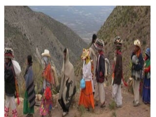 En mayo se hace la buskeda
   del xikuri en wirikuta
 