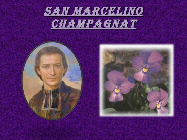 Resultado de imagen para San Marcelino Champagnat