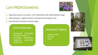 LAN PROPOSAMENA:
 Ingurukoa aztertu eta gero, zein ekosistema den deskribatuko dugu.
 Ahal baduzue, argazki-kamera eramatea komenigarria da.
 Horretarako kontutan hartuko dugu:
IZAKI BIZIDUNAK:
• Landareak (zuhaitzak,
belarrak, loreak …)
• Animaliak (intsektuak,
hegaztiak, ugaztunak,
anfibioak…
INGURUNE FISIKOA:
• Lurzoru mota
• Harriak
• Urak
• …
 
