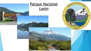 Parque Nacional
Lanín
 