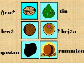 ewġ ż
lewż
qastan
tin
bej aħ ż
rummien
 